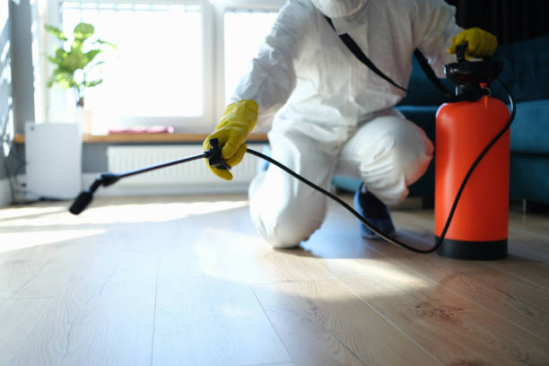Reliable Biohazard Cleanup contractor in Sumner, IL by Trauma Clean Pros